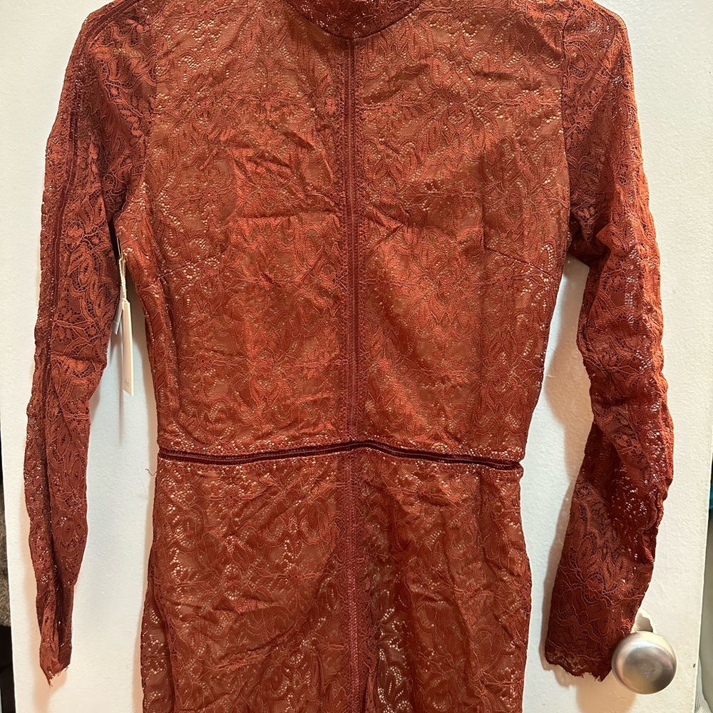 Aritzia Long Sleeve Lace Dress in Rust